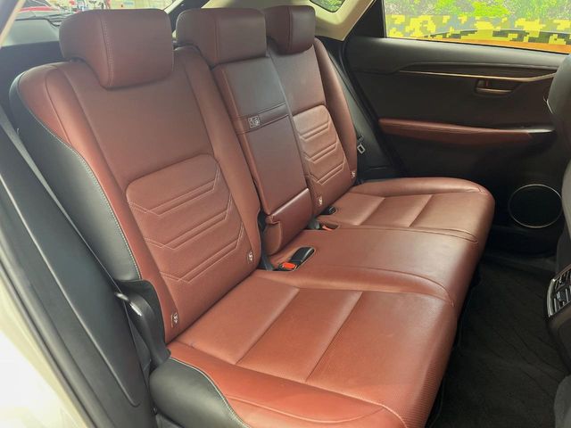 Lexus NX 11