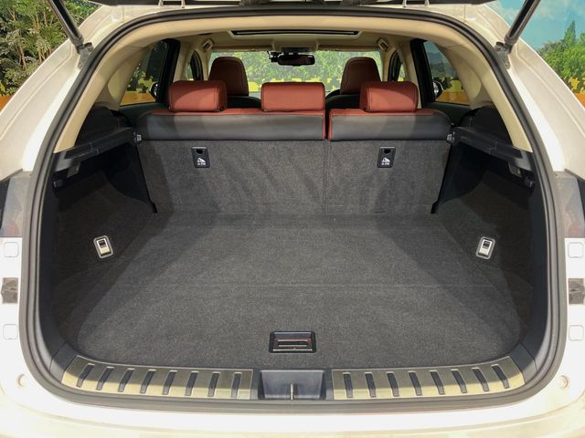 Lexus NX 12