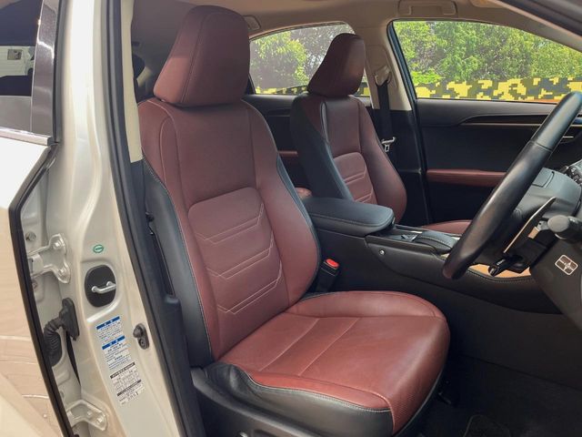Lexus NX 10