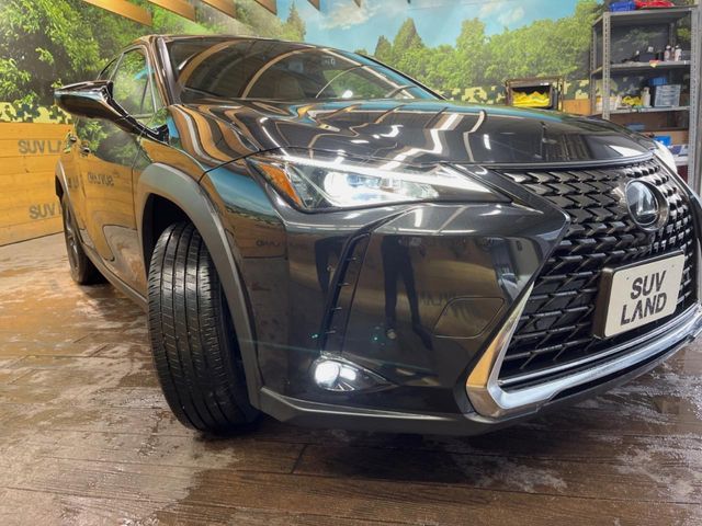 Lexus UX 12