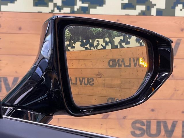 Lexus UX 6