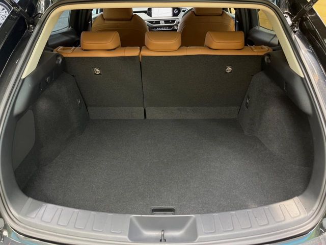 Lexus UX 10