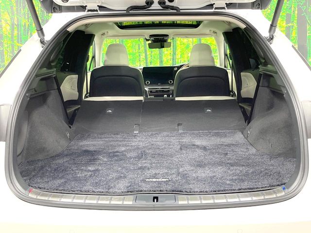 Lexus RX 11