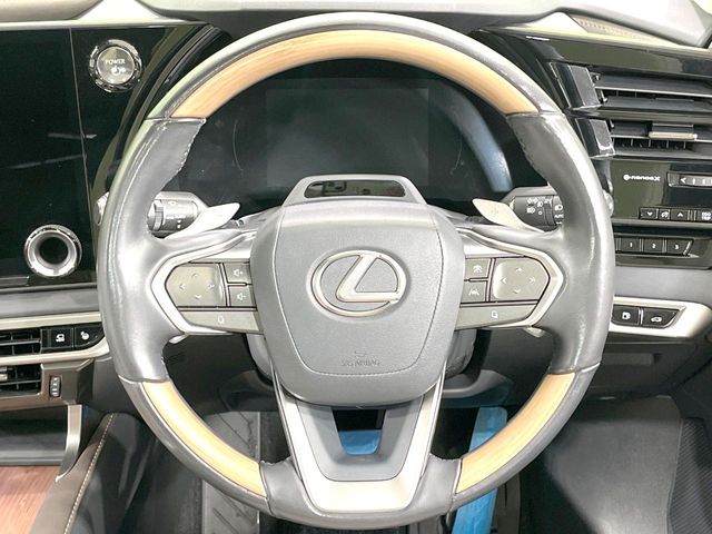 Lexus RX 12