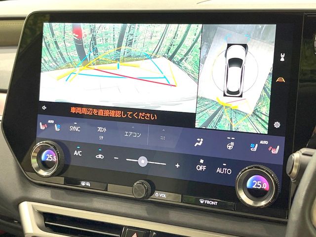 Lexus RX 6