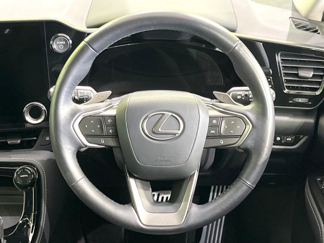 Lexus NX 11