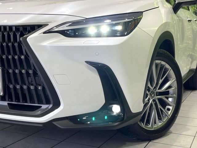 Lexus NX 12