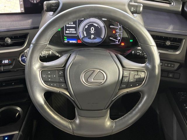 Lexus UX 12