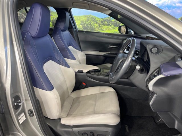 Lexus UX 9