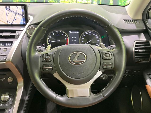 Lexus NX 11