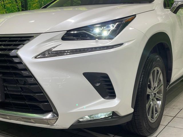 Lexus NX 12