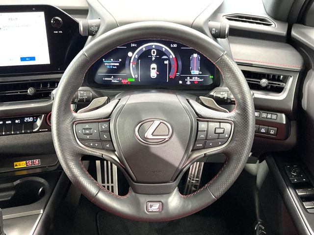 Lexus UX 11