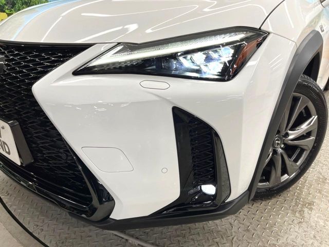 Lexus UX 12