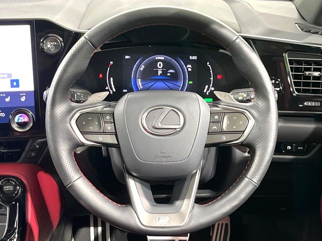 Lexus NX 11
