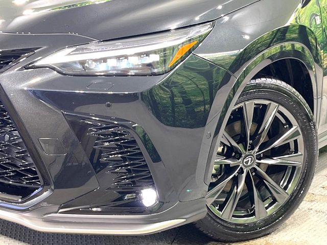 Lexus NX 12