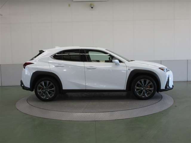 Lexus UX 9