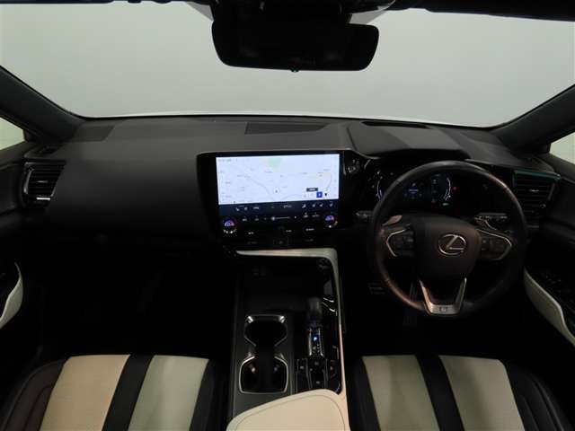 Lexus NX 11
