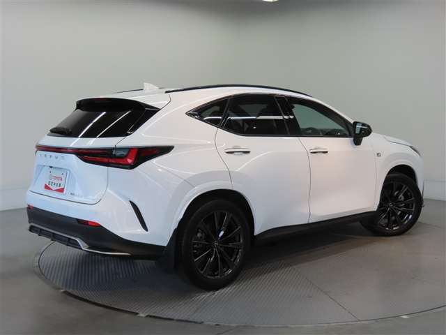 Lexus NX 6
