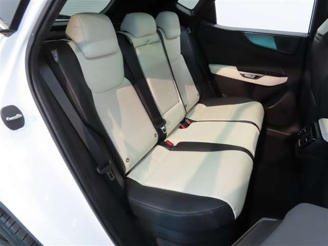 Lexus NX 10