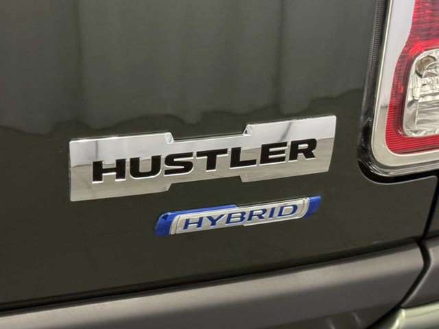 Suzuki Hustler 11