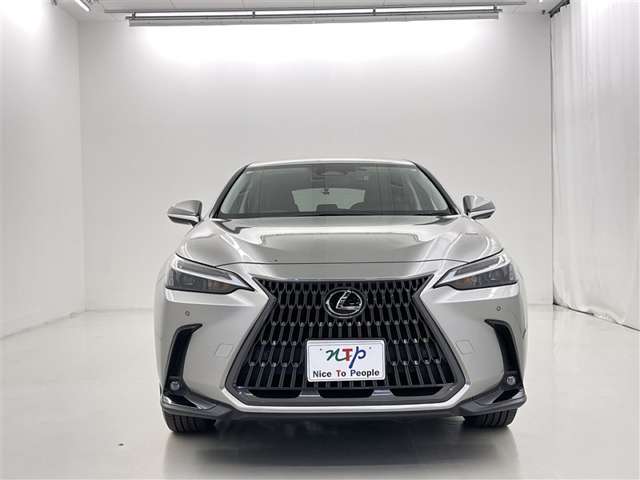 Lexus NX 4
