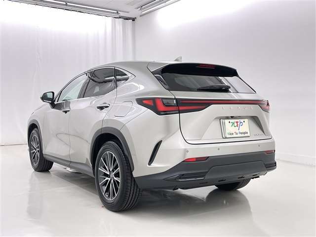 Lexus NX 6