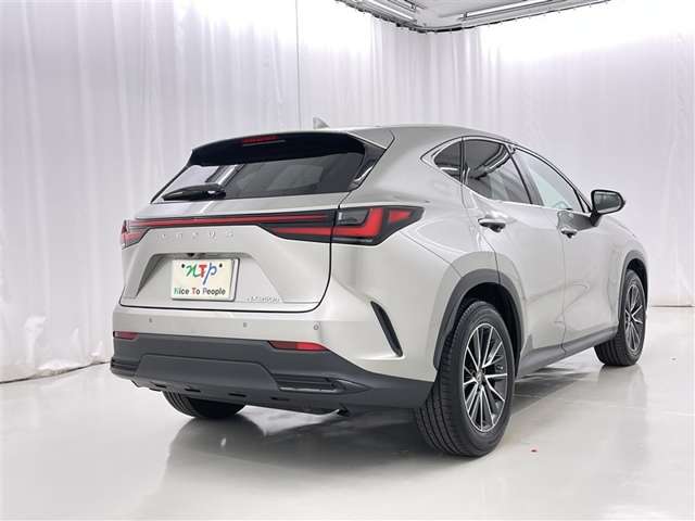 Lexus NX 7