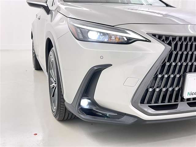 Lexus NX 8
