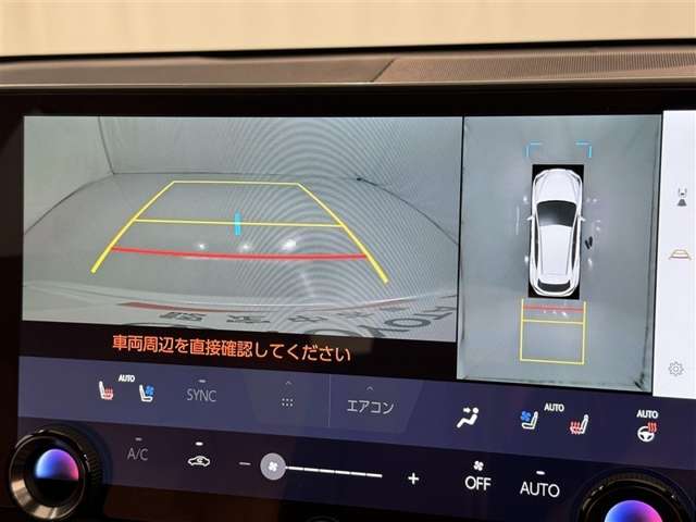 Lexus NX 12