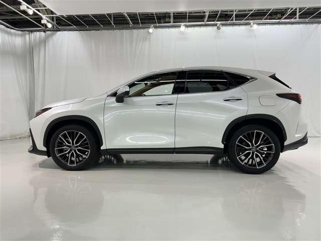 Lexus NX 6