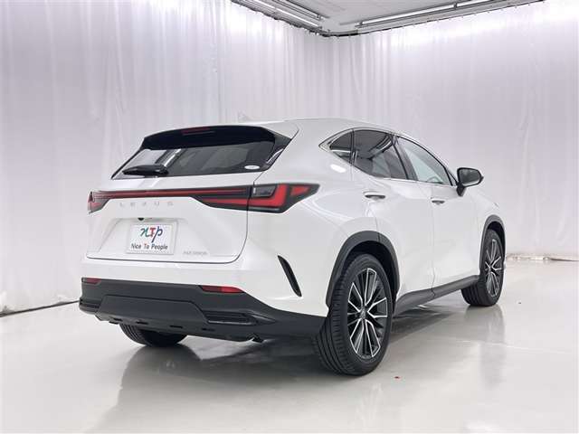 Lexus NX 7