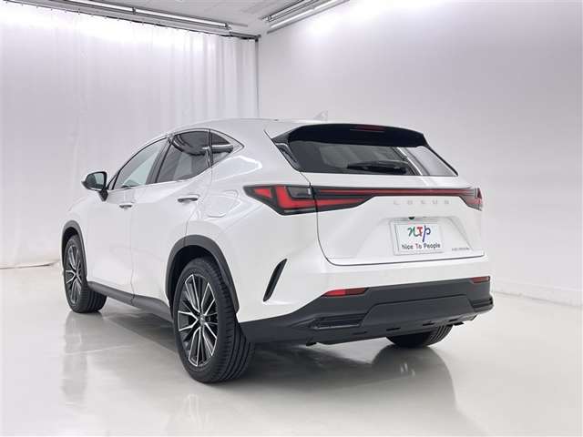 Lexus NX 8