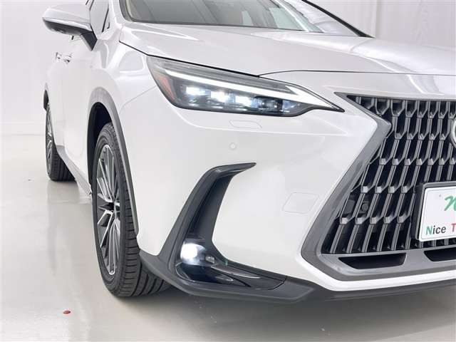 Lexus NX 9