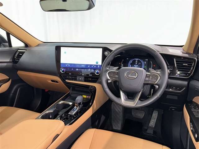 Lexus NX 10