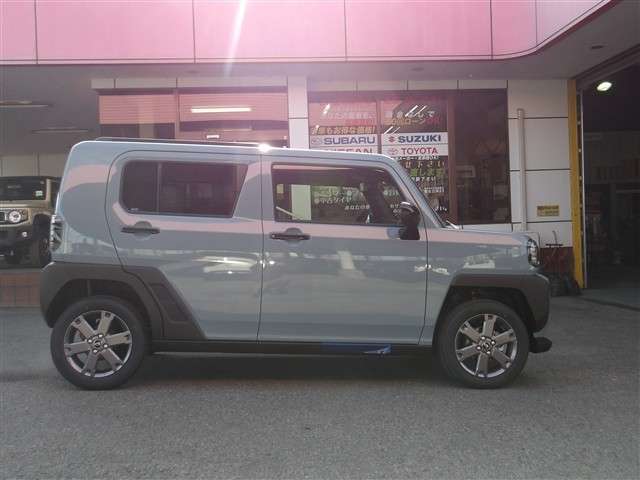 Daihatsu Taft 8