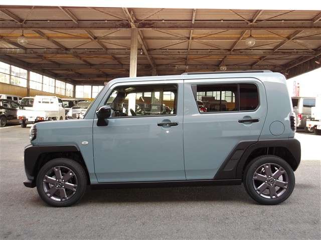 Daihatsu Taft 9