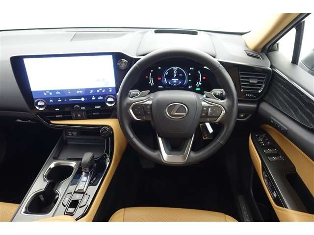 Lexus NX 5
