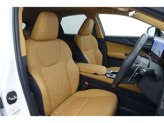 Lexus NX 6