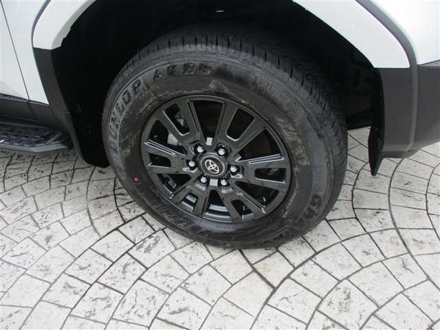 Toyota Land Cruiser 250 8