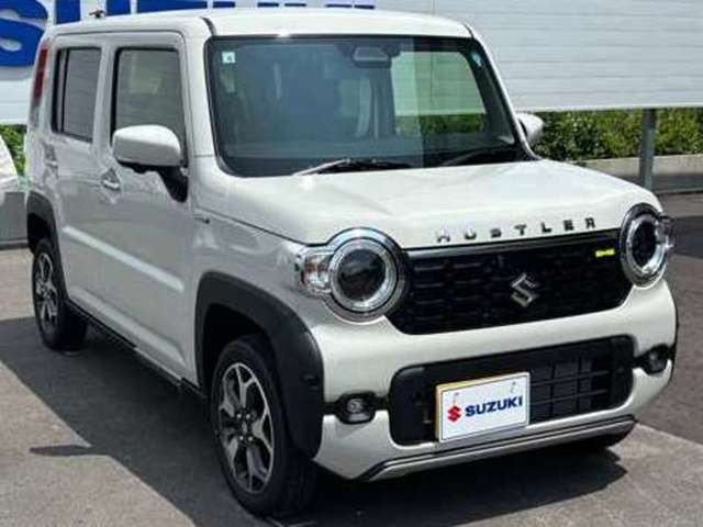 Suzuki Hustler 11