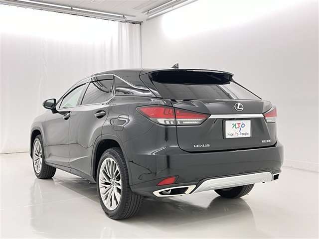 Lexus RX 6