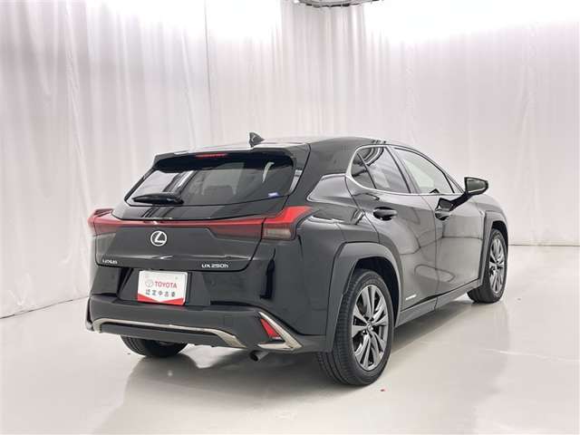 Lexus UX 7