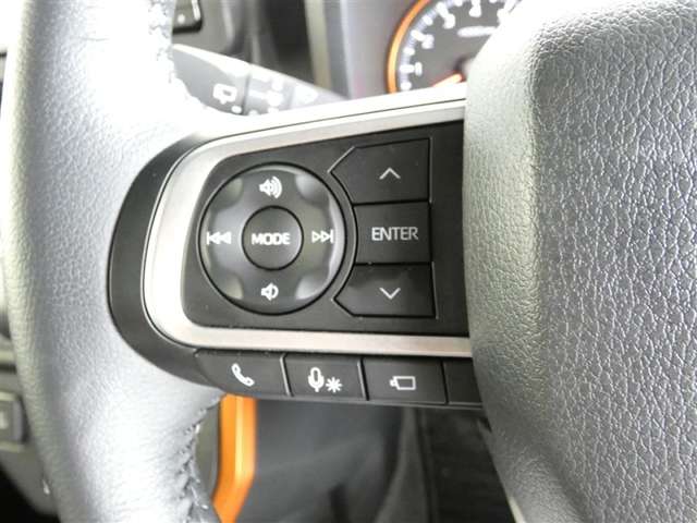 Daihatsu Taft 11