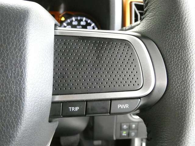 Daihatsu Taft 12