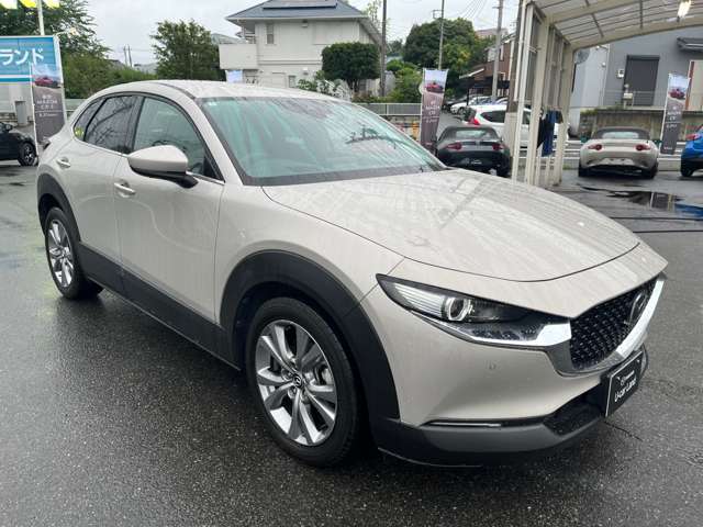 Mazda CX-30 3