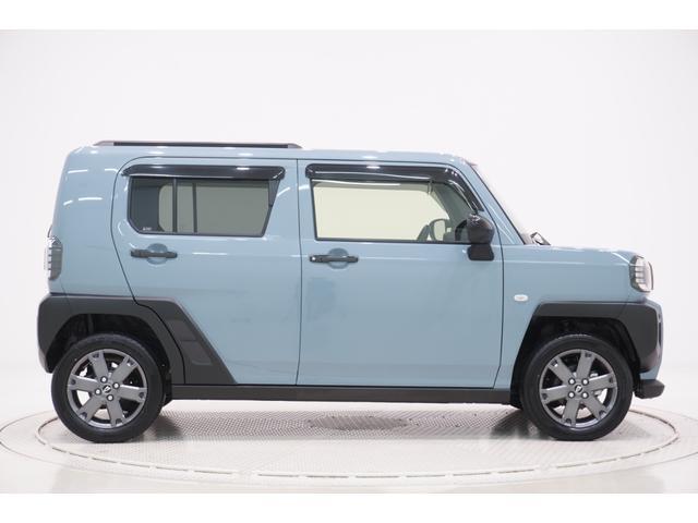 Daihatsu Taft 6