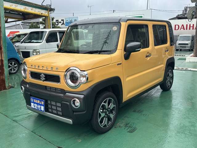 Suzuki Hustler 3