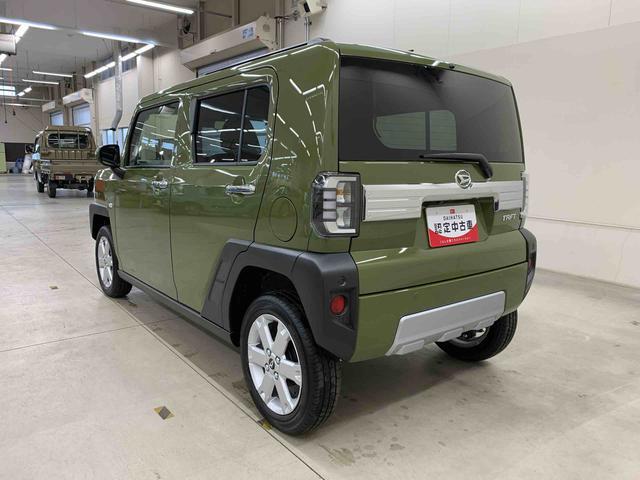 Daihatsu Taft 12