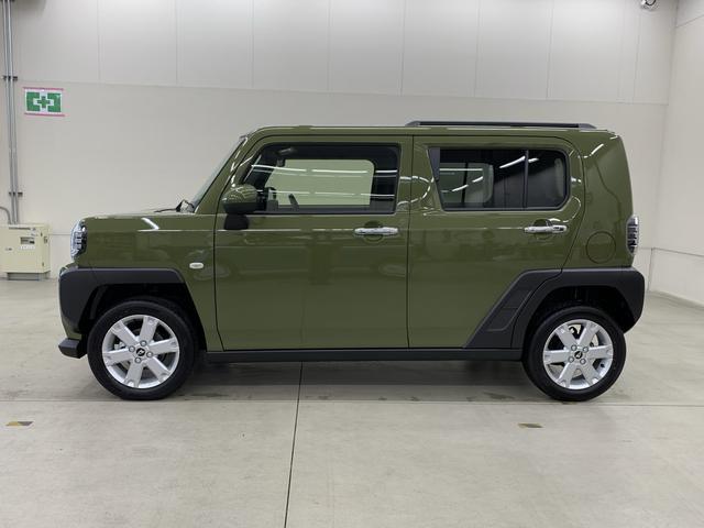 Daihatsu Taft 8