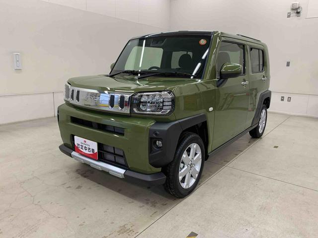 Daihatsu Taft 10